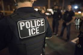 Read more about the article ICE Arrest Parent Escorting Child Onto School Bus