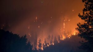 Read more about the article Wildfire Endangers Oregon With The Likelihood Of Power Shutoff